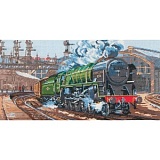 Купить недорого   Набор для вышивания Anchor "Evening Star" 23*45см, MEZ Венгрия, PCE951  в интернет магазине Фэмили хобби