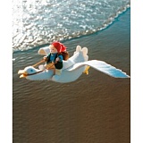 Набор для шитья вальдорфской куклы "Маленький Нильс на гусе", De Witte Engel, A25600