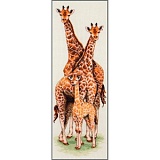 Купить недорого   Набор для вышивания Anchor "Giraffe Family" 47*14см, MEZ Венгрия, PCE740  в интернет магазине Фэмили хобби